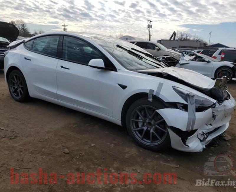 2023 TESLA MODEL 3  ابيض