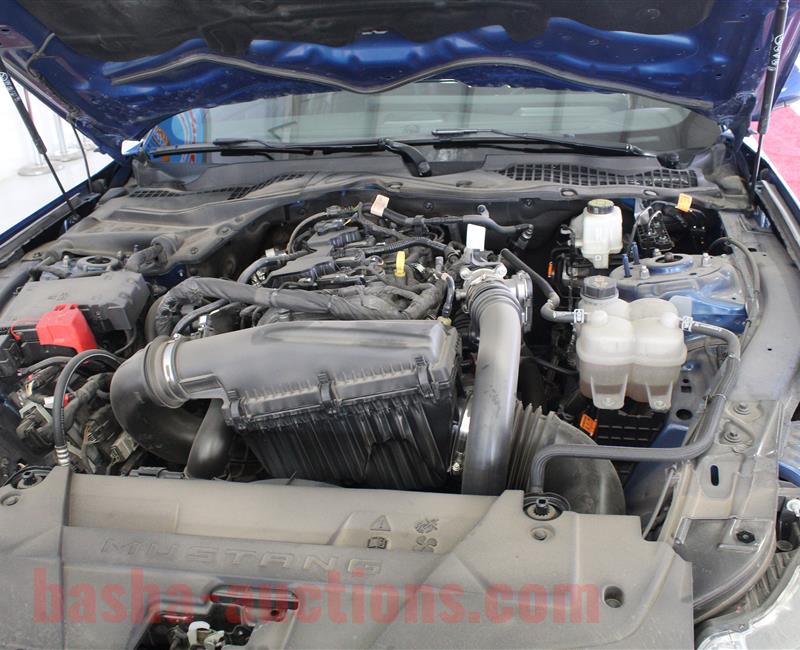 2024 FORD MUSTANG ECOBOOST
